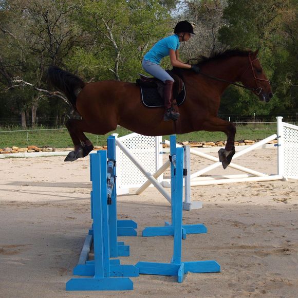 Meet your Posher, Lana - Picture 1 of 1